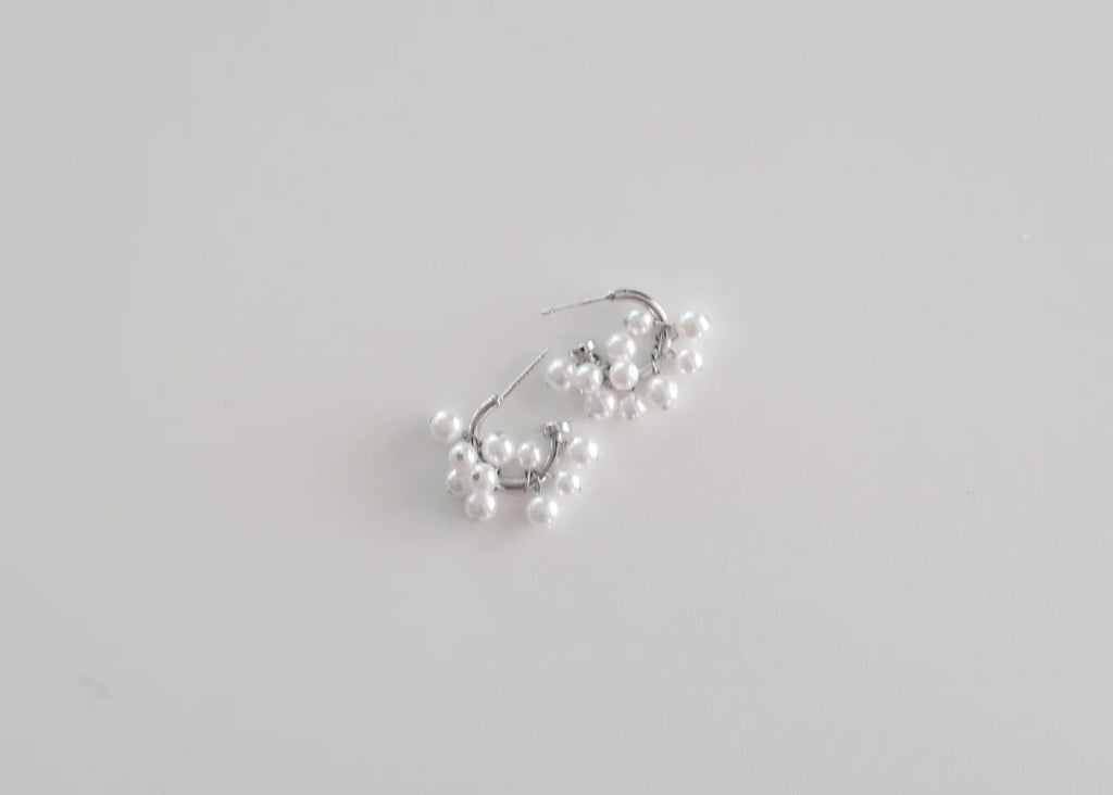 Earrings B99