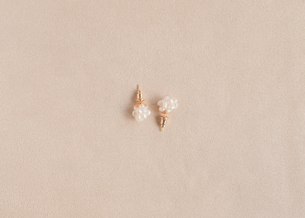 Earrings B110
