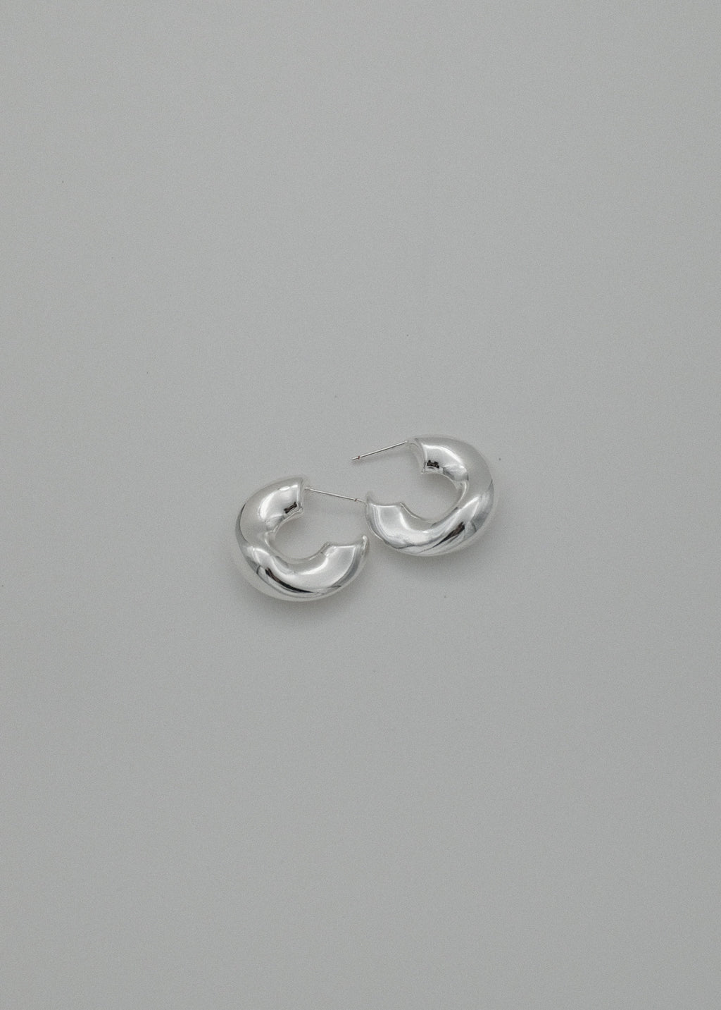 Earrings B93