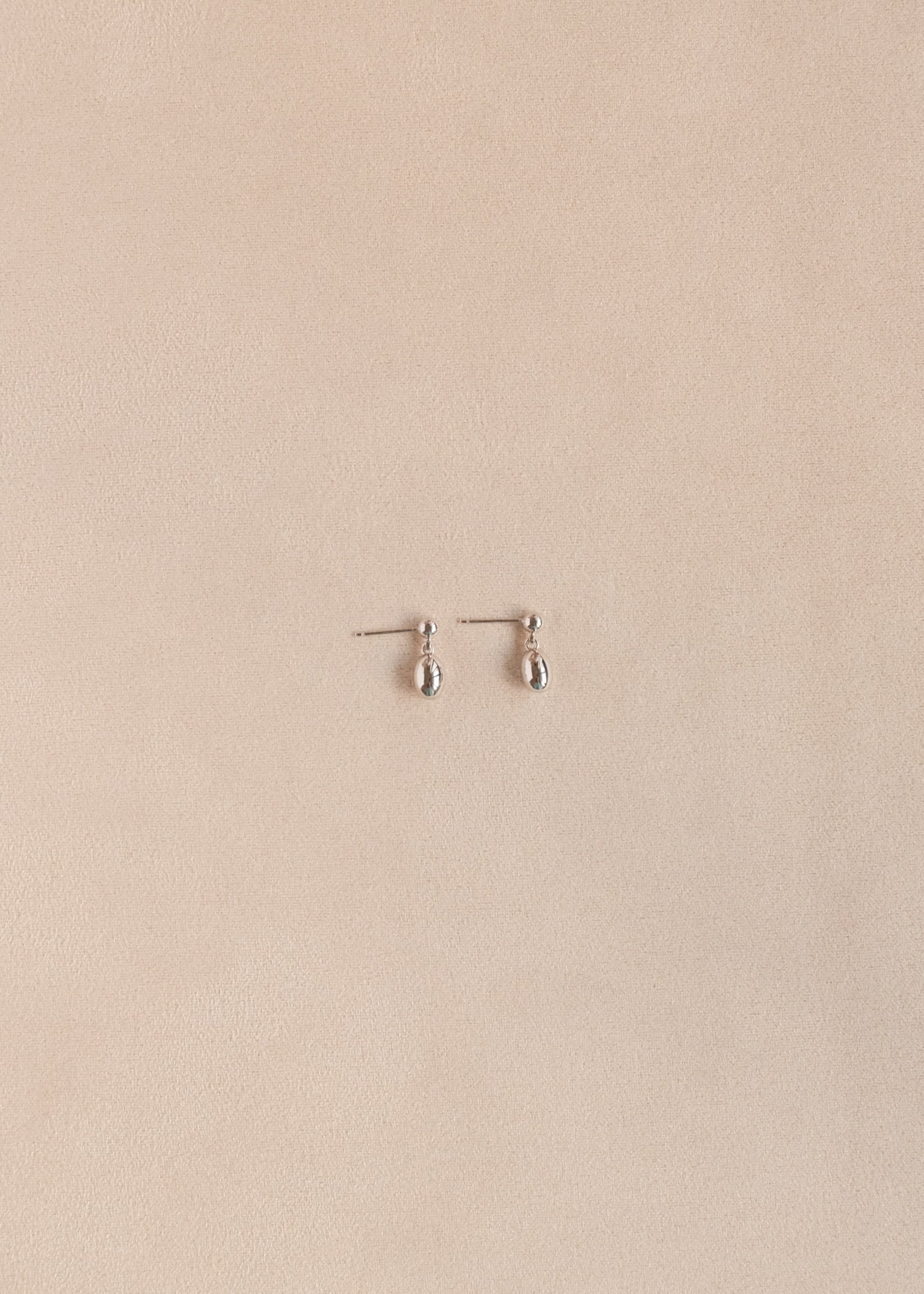 Earrings B111