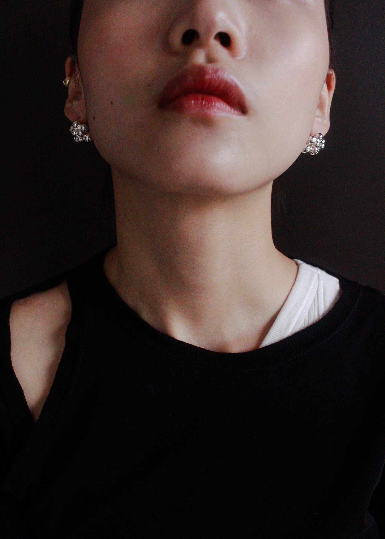 Earrings S34